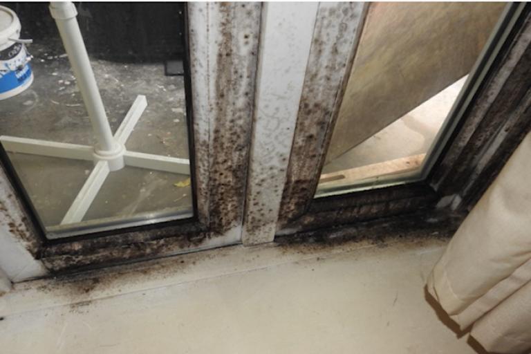 damp from condensation