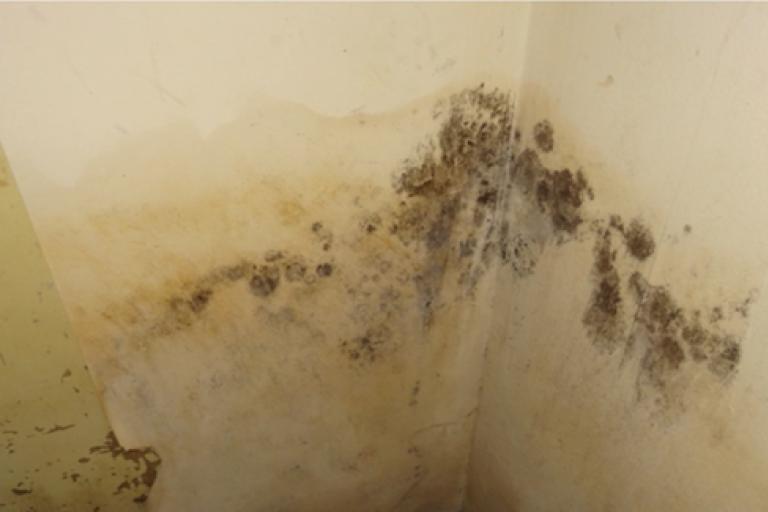 damp from defect