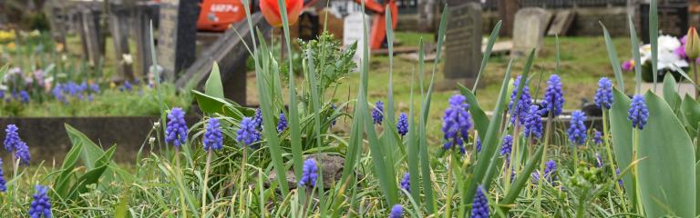 Lambeth Cemetery